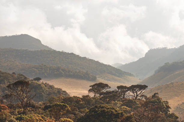 Horton Plains National Park